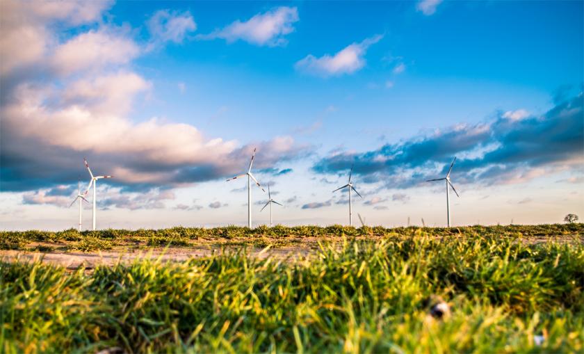 Energy group calls for stronger efficiency policy